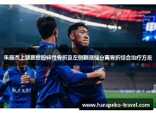 朱辰杰上颌窦壁粉碎性骨折及左侧颧额缝分离骨折综合治疗方案